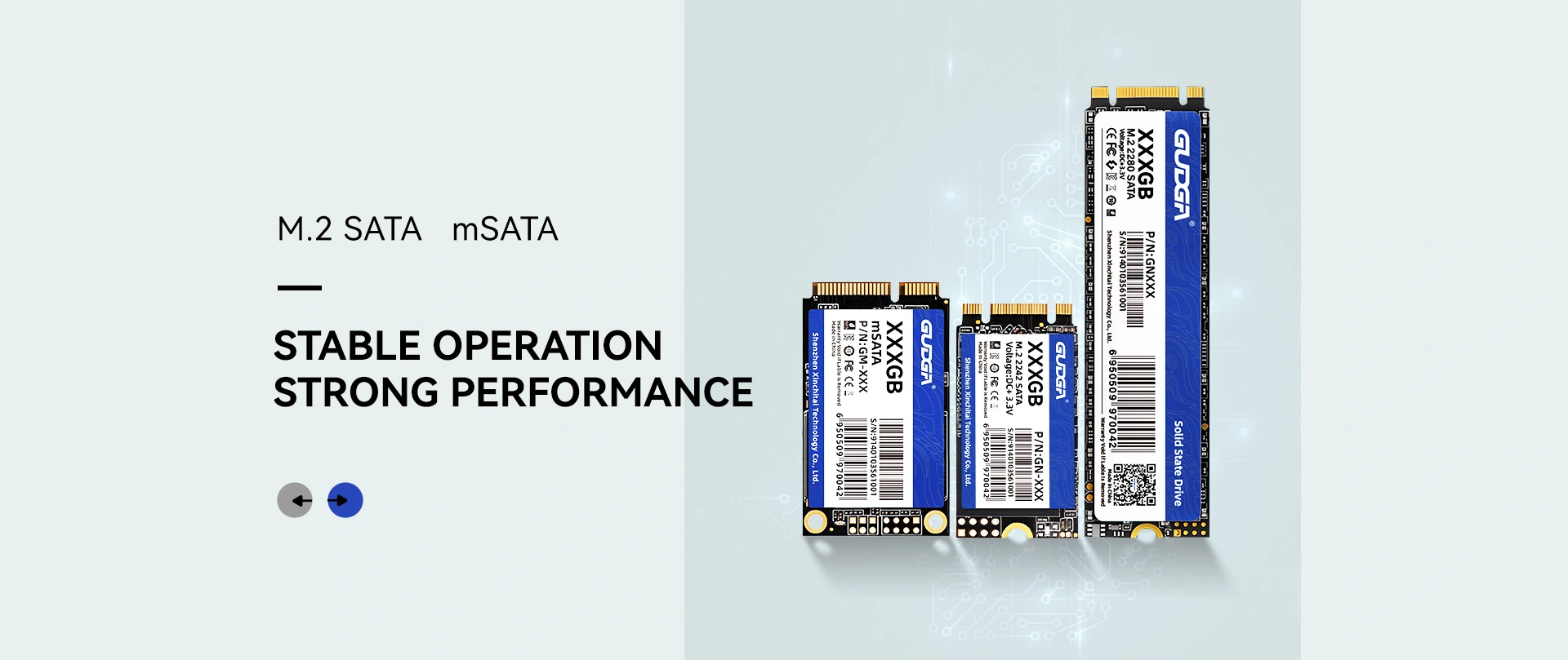 中国の割引 M.2 SATA SSD メーカー