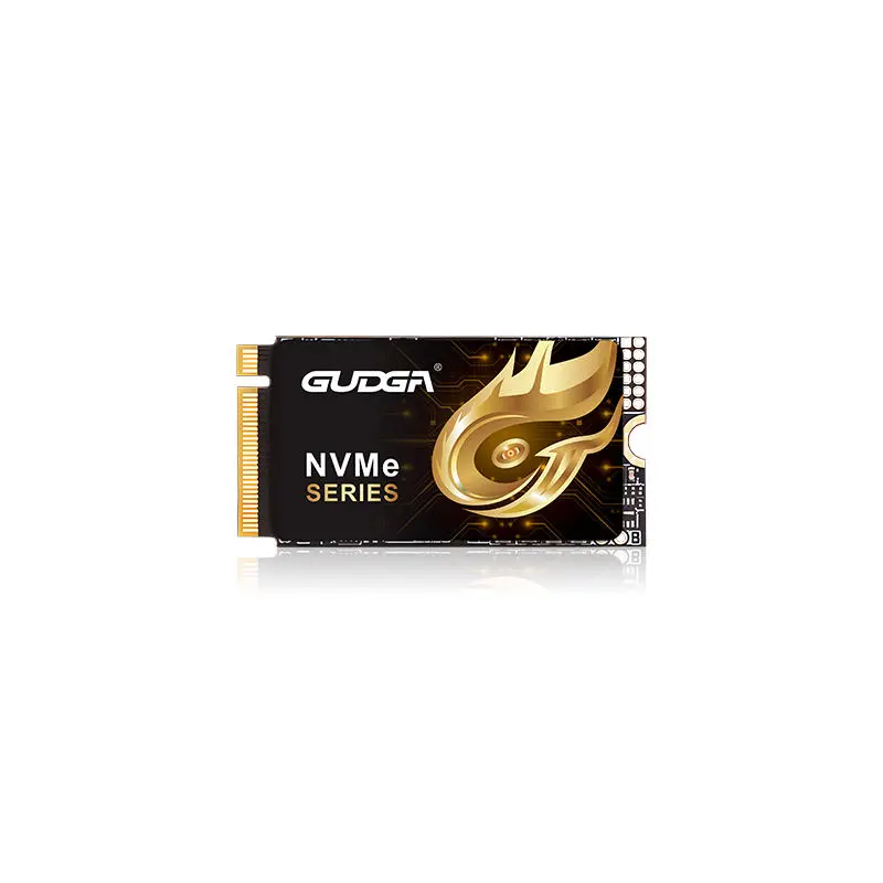 2242 長 PCIE 4.0 NVMe SSD 7000MB/秒
